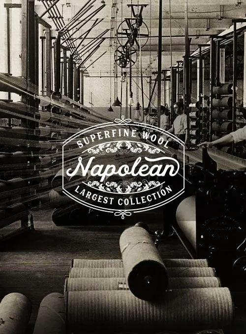 Napolean Royal Blue Birdseye Wool Pants